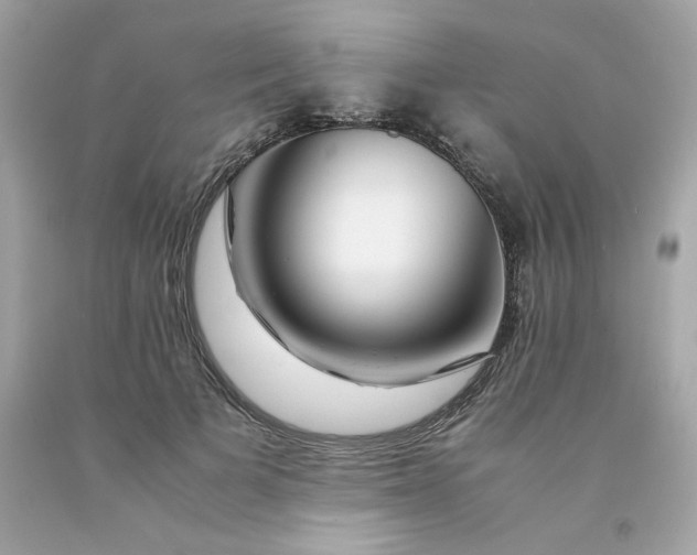 X0000091490697200709061901