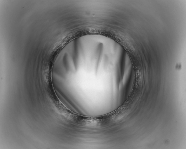 X0000091490698200709061901