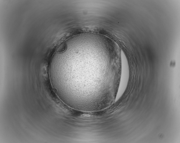 X0000091490699200709061901