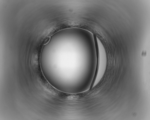 X0000091490700200709061901