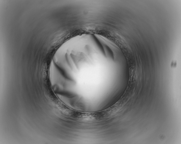 X0000091490702200709061901