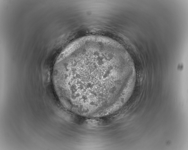 X0000091490703200709061901