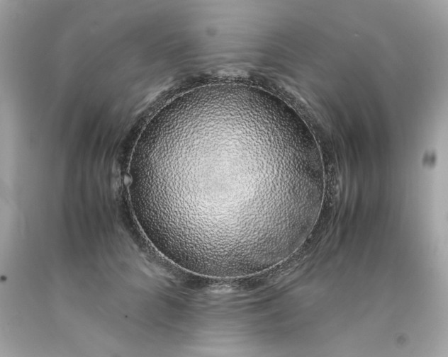 X0000091490704200709061901