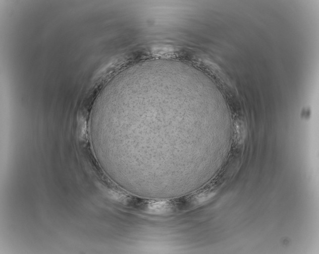 X0000091490705200709061901