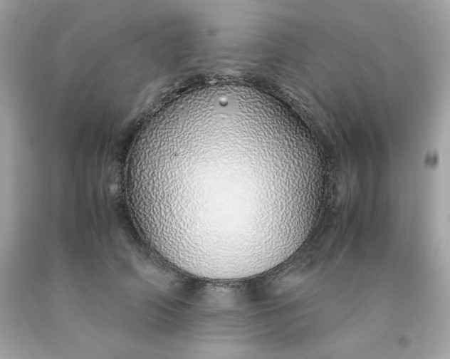 X0000091490706200709061901