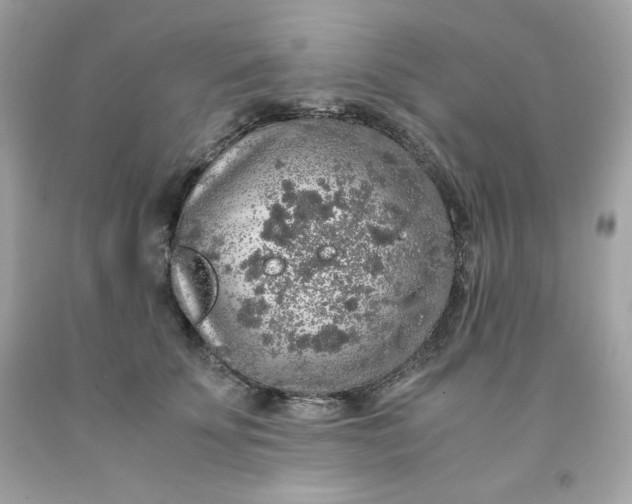 X0000091490707200709061901