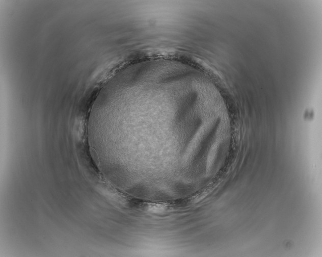 X0000091490709200709061901