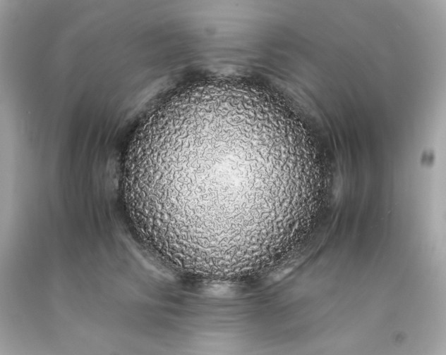 X0000091490710200709061901