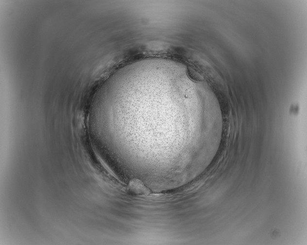 X0000091490711200709061901