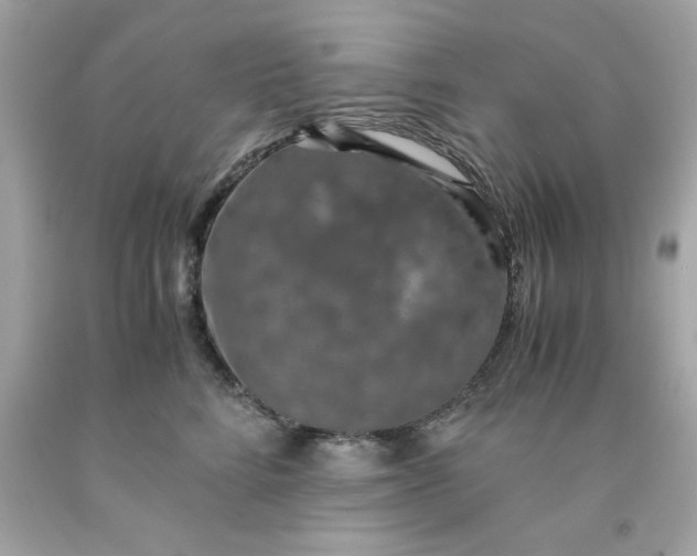 X0000091490712200709061901