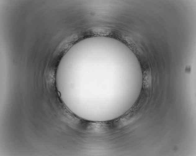 X0000091490713200709061901