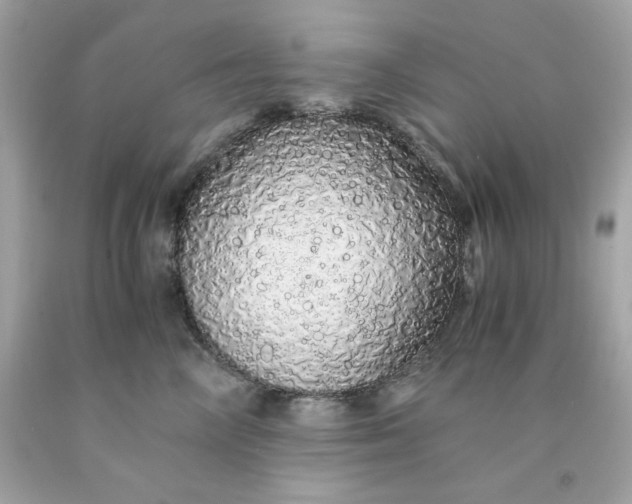 X0000091490714200709061901