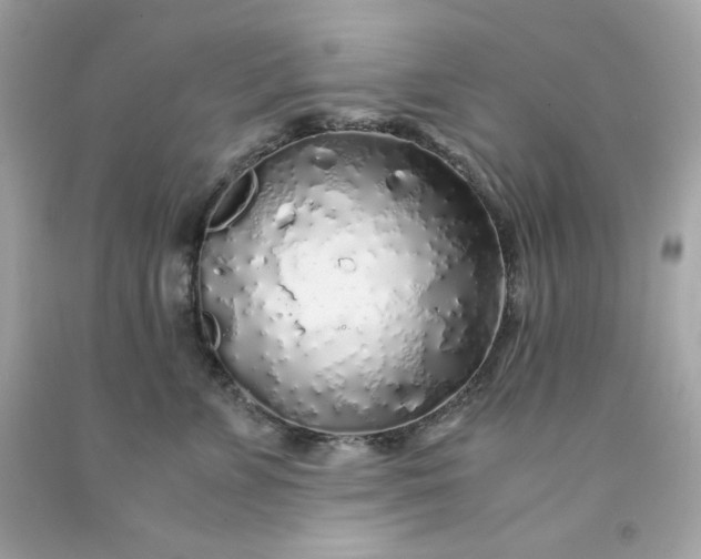 X0000091490715200709061901