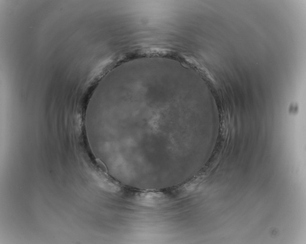 X0000091490716200709061901