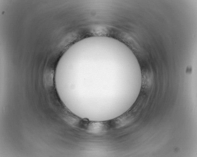 X0000091490717200709061900