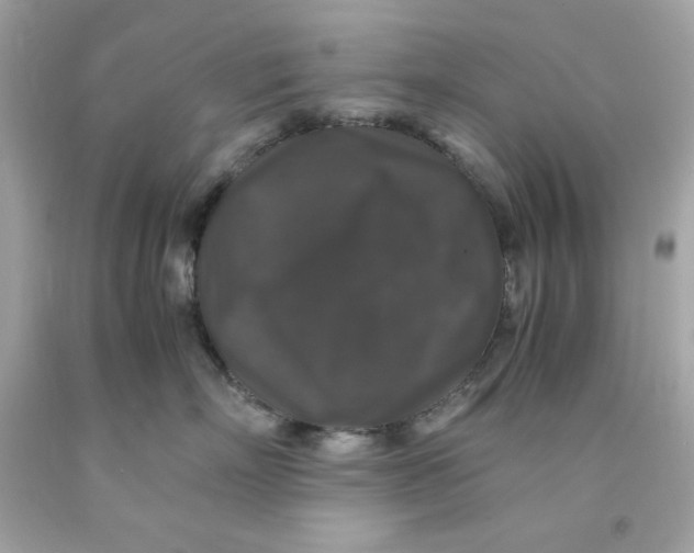 X0000091490718200709061900