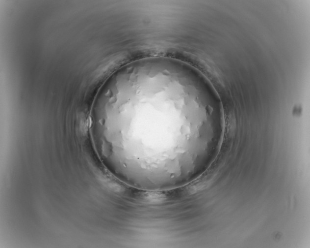 X0000091490719200709061900