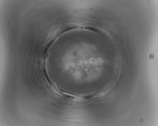 X0000091490720200709061900