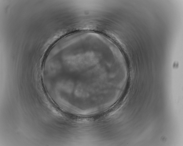 X0000091490721200709061900