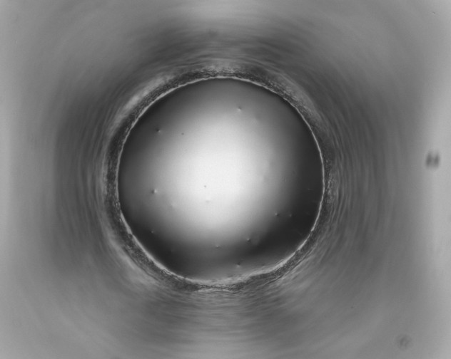 X0000091490722200709061900