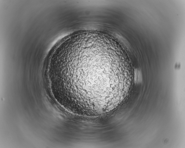 X0000091490723200709061900