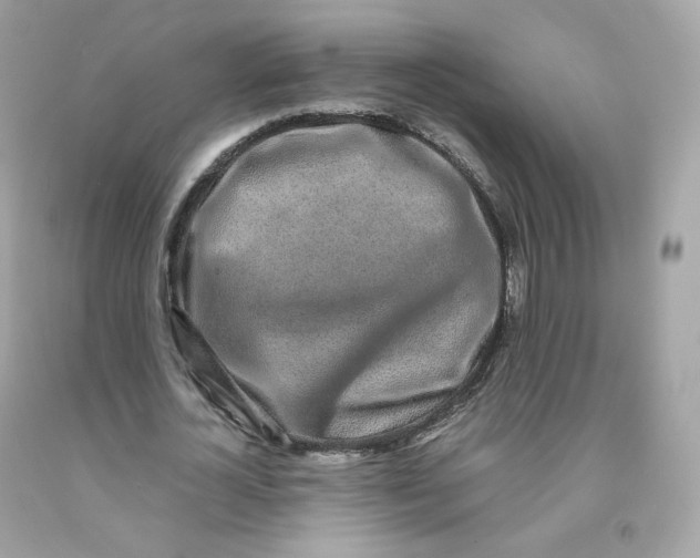 X0000091490724200709061900