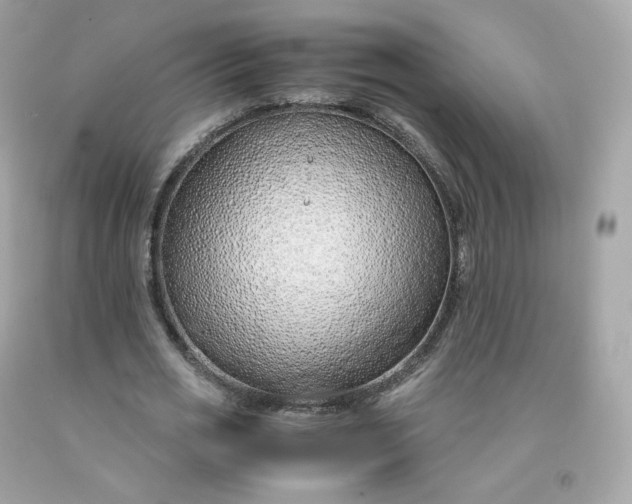 X0000091490725200709061900