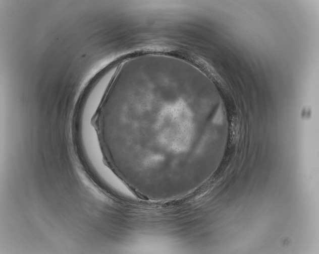 X0000091490726200709061900