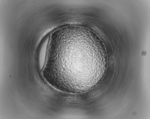 X0000091490727200709061900