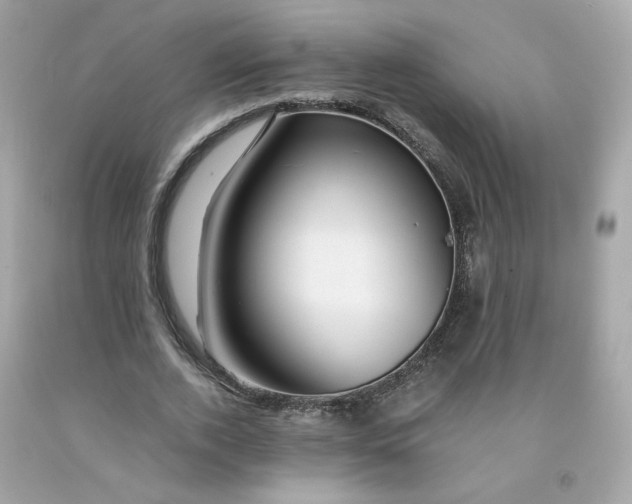 X0000091490728200709061900