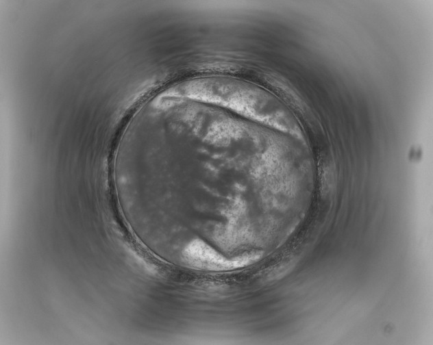 X0000091490729200709061900