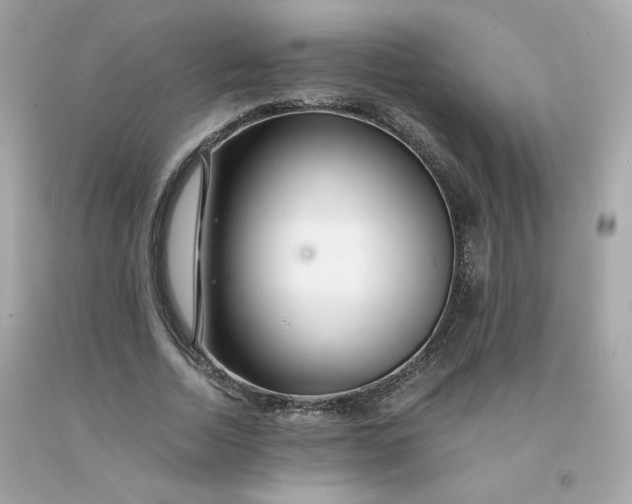 X0000091490730200709061900