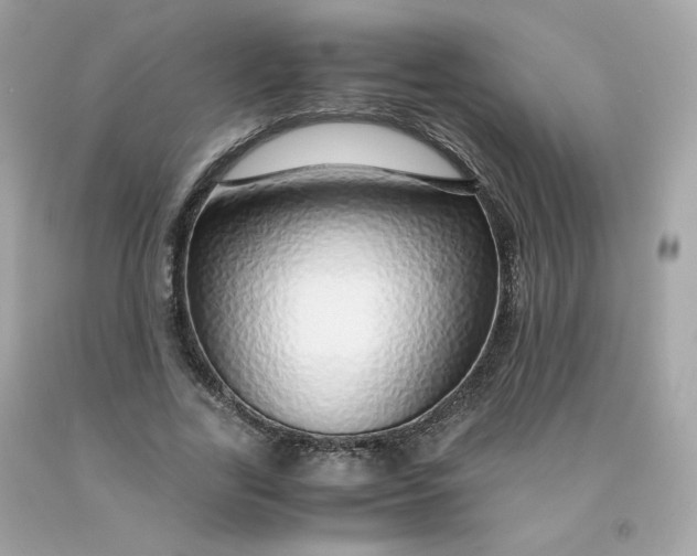 X0000091490731200709061900