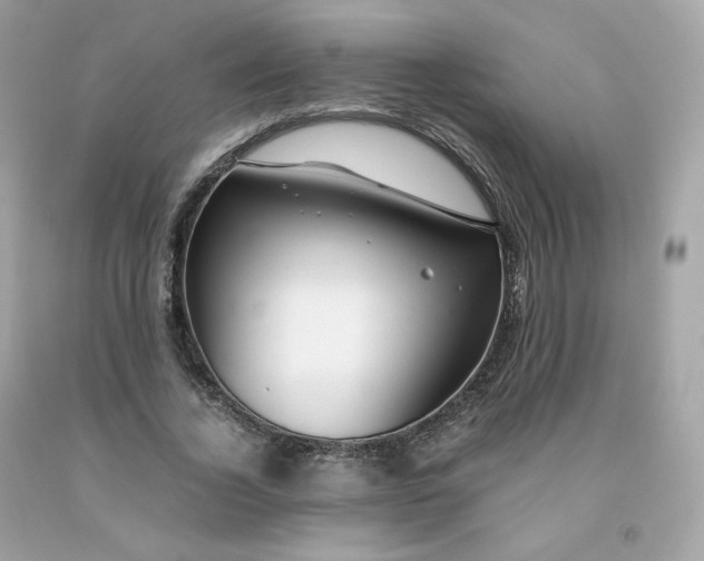 X0000091490732200709061900