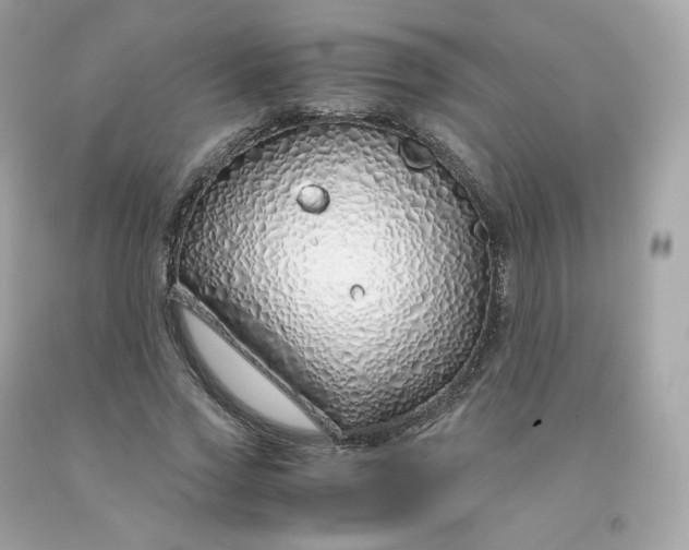 X0000091490733200709061900