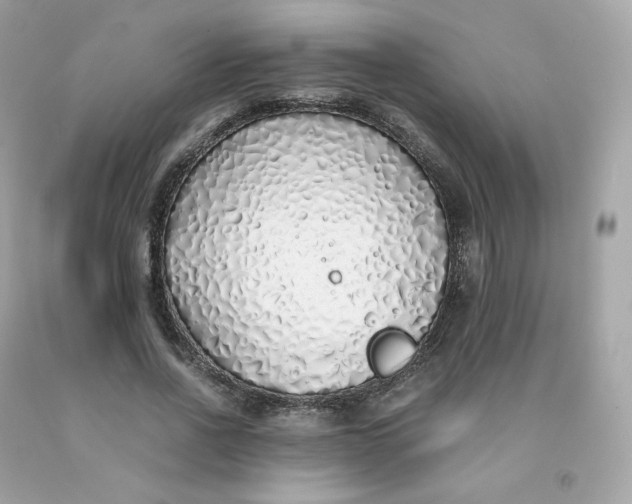 X0000091490734200709061900