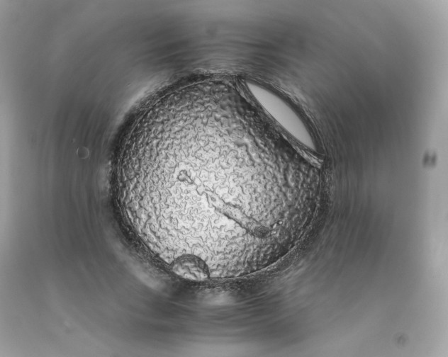 X0000091490735200709061900