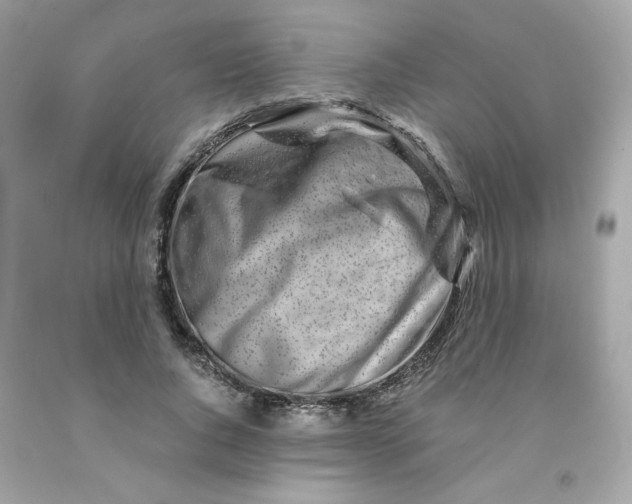 X0000091490736200709061900