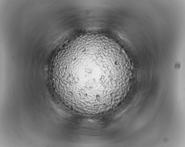 X0000091490737200709061900