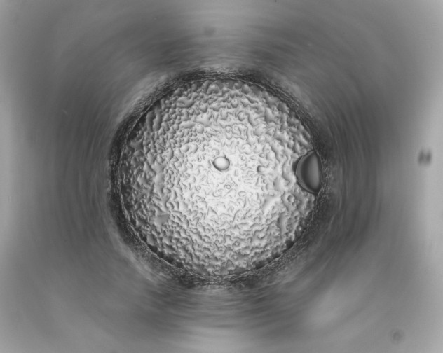 X0000091490738200709061900