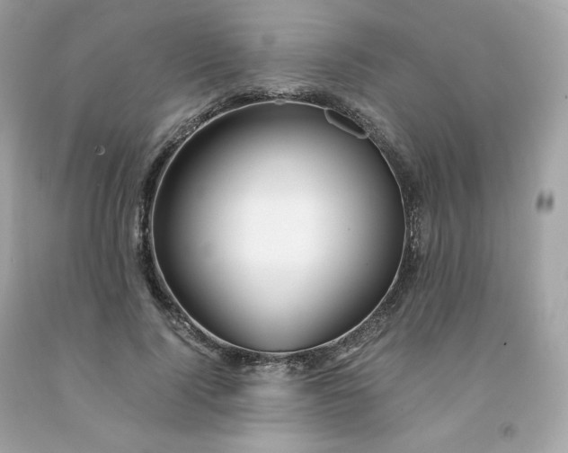 X0000091490740200709061900