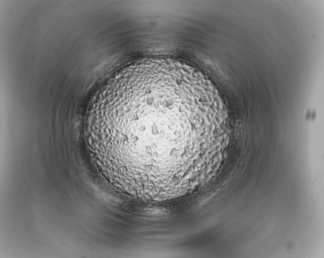 X0000091490741200709061900