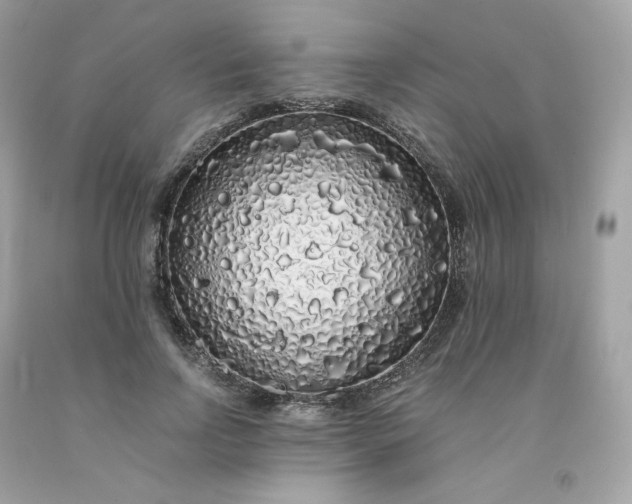 X0000091490742200709061900