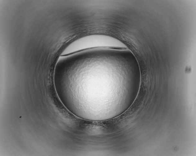 X0000091490743200709061900