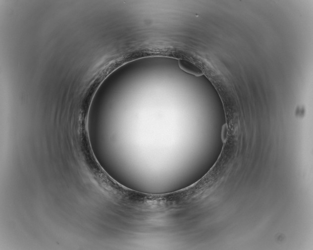 X0000091490744200709061900