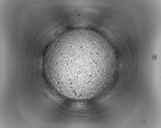 X0000091490745200709061900