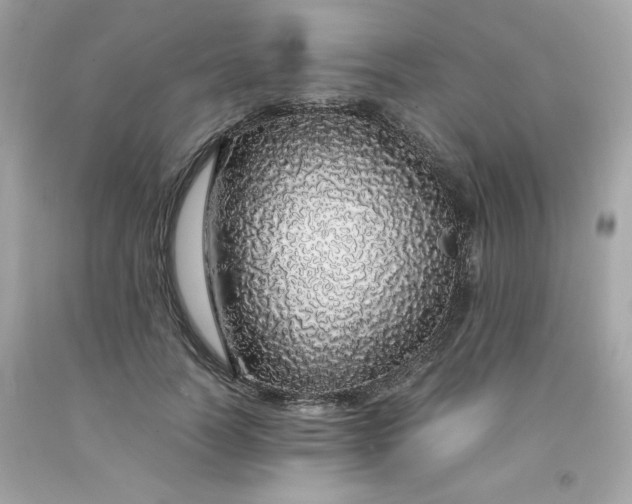 X0000091490746200709061900