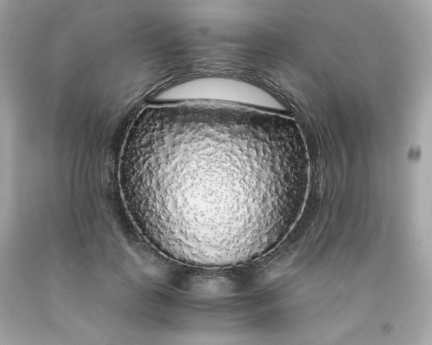 X0000091490747200709061900