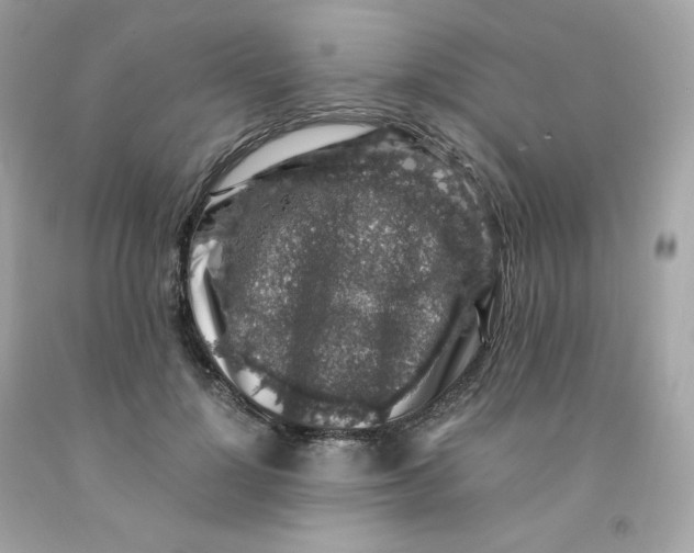 X0000091490748200709061900