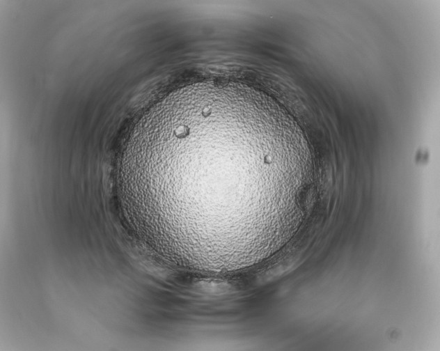 X0000091490749200709061900